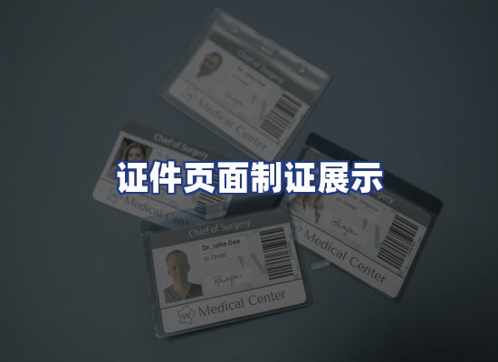 证件页面制证展示